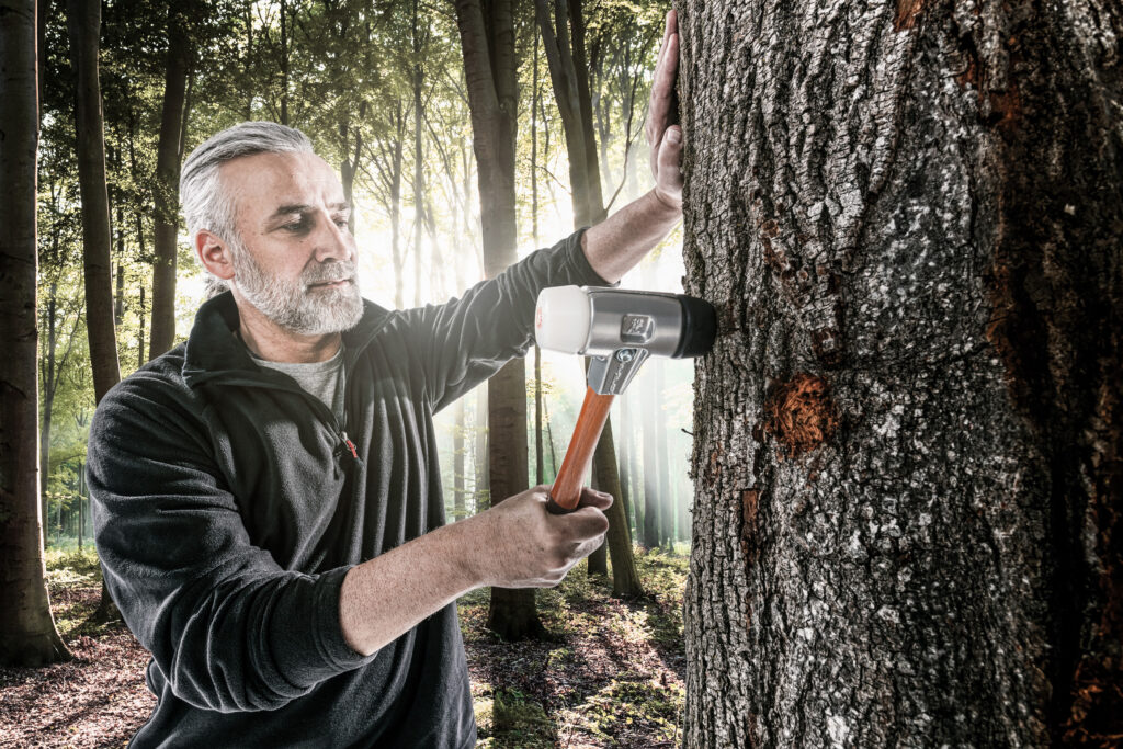 Leicht und locker – der SIMPLEX-Diagnosehammer mit Aluminiumgehäuse für das Abklopfen von vermuteten Schadstellen bei Bäumen.